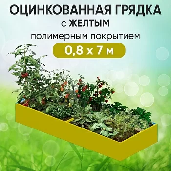 Грядка желтая (0,8 х 7)